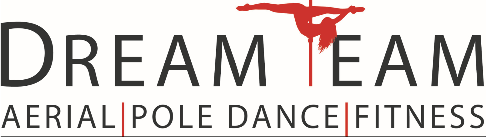 logo firmy Dream Team