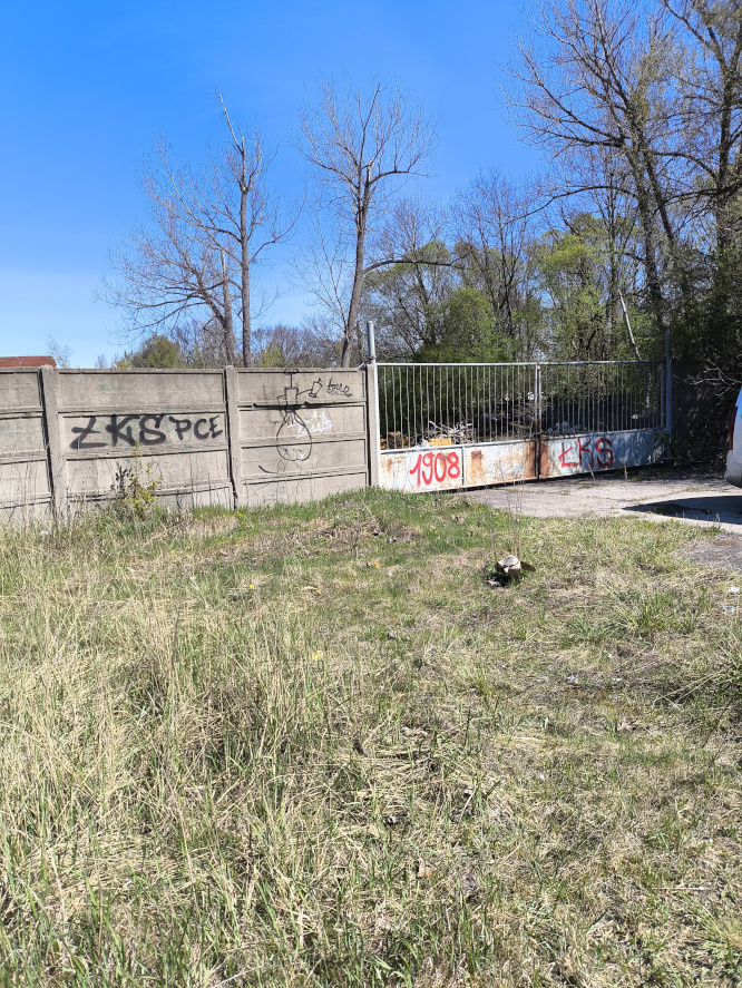 Betonowy płot i metalowa brama z graffiti na tle drzew. Przed ogrodzeniem rośnie sucha trawa, w tle widać błękitne niebo