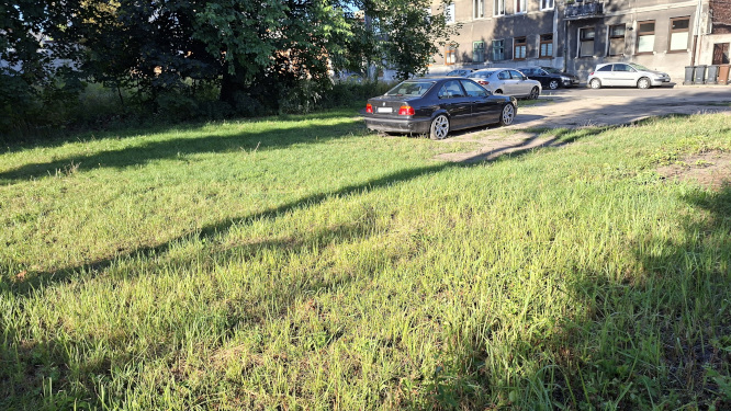 Zielony trawnik na pierwszym planie. W tle czarny samoch&oacute;d oraz kamienica i inne zaparkowane auta w słoneczny dzień.